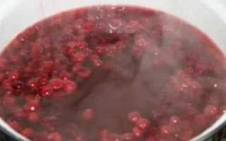 Можно ли клюквенный морс детям до года