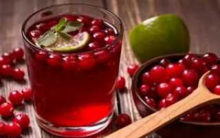 Морс из клюквы как приготовить при простуде