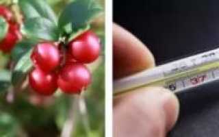 Клюква при температуре у ребенка