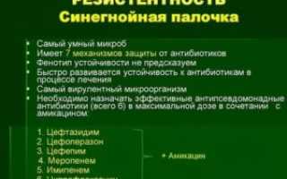 Лечение синегнойной палочки антибиотиками