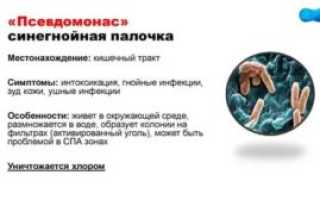 Синегнойная палочка в ухе лечение