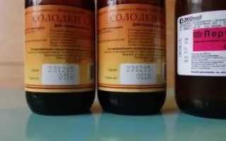 Пертуссин или корень солодки что лучше