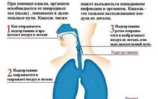 Причины частого чихания у взрослых