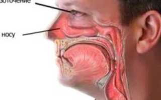 Щекочет в носу и чихаю что делать