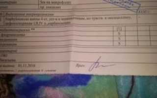 Золотистый стафилококк у беременных в мазке