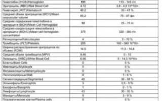 Соэ при бронхите у взрослых