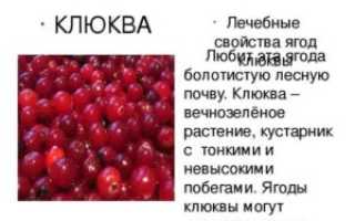 Клюква полезные свойства для детей