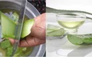 Лечение горла алоэ