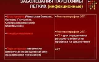 Паренхима легких что это такое