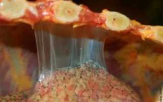 Спайки в лёгких лечение