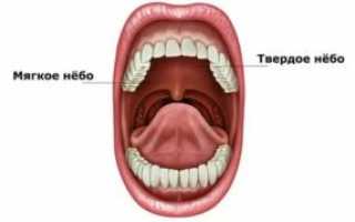 Немеет небо во рту причины
