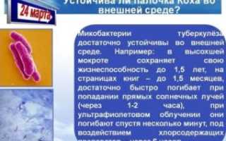 Туберкулезная палочка сохраняет жизнеспособность в течении