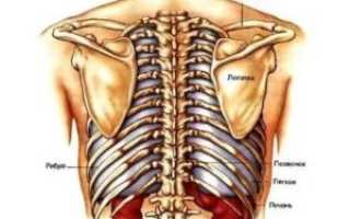 Болит нижнее ребро справа при нажатии