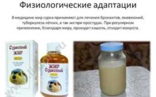 Барсучий жир при насморке у ребенка