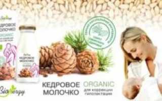Молоко с кедровыми орешками от кашля