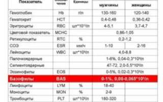 Сегментоядерные лейкоциты повышены