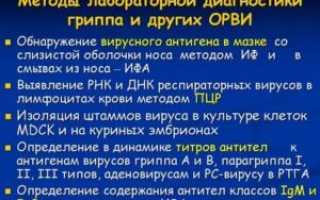 Лабораторная диагностика гриппа и орви