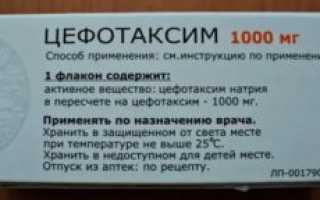 Цефотаксим как разводить детям
