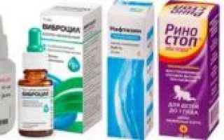 Нафтизин или називин