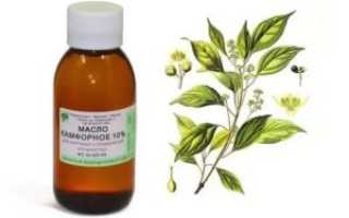 Камфорное масло от кашля детям