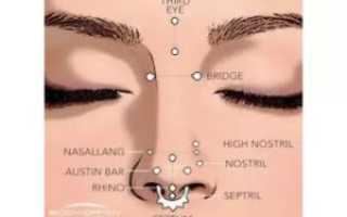 Виды пирсинга носа