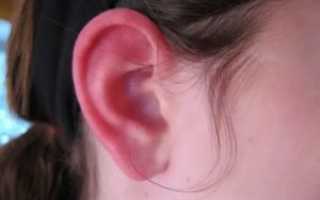 Мочка уха опухла и покраснела