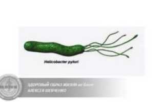 Передается ли хеликобактер через поцелуй