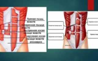 Почему болят мышцы живота без причины