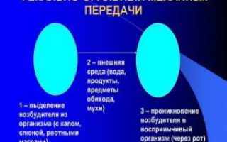 Фекально оральный механизм передачи