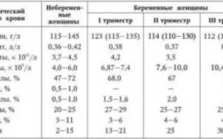 Общий анализ крови при беременности норма таблица