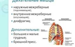 Невозможно сделать полный вдох причины