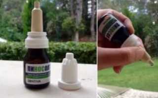 Маслянистые капли в нос