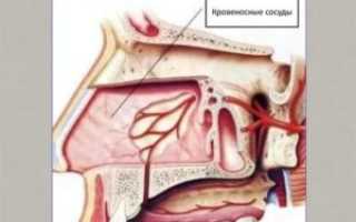 Расширенные сосуды в носу