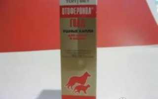 Кандид капли в уши