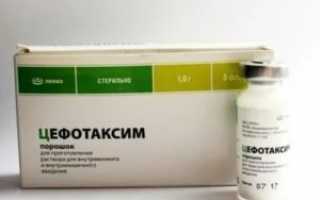 Можно ли хранить разведенный цефотаксим