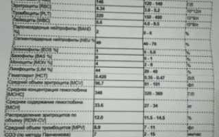 Анализ крови при ангине у ребенка