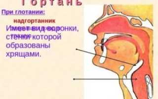 Щелкает в ухе при глотании слюны