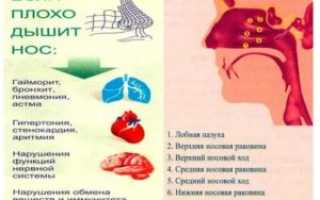 Постоянно не дышит нос что делать